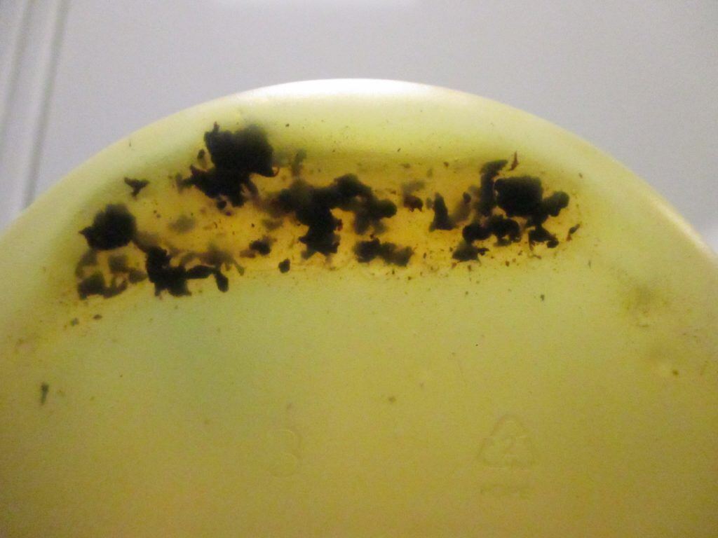 Causes of Sludge in Machinery Explained by Eurofins TestOil